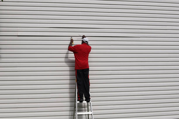 Affordable siding repair and maintenance services in St Paul, VA