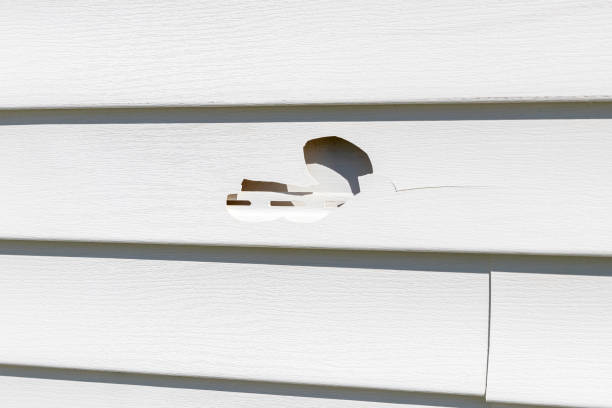 Historical Building Siding Restoration in St Paul, VA